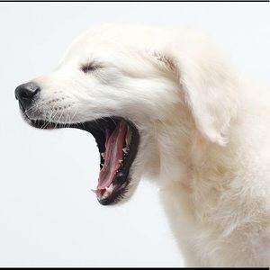 Meet your Posher, Vitaliy